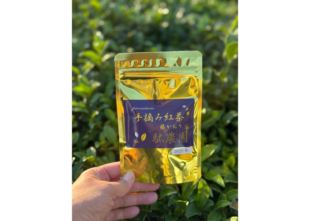 b-13】premium 手摘み紅茶 藤かおり 2025秋 | 駄農園お茶製造・ 販売 D