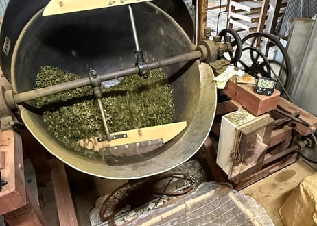 【c-19】駄農園釜炒り茶 藤かおり 2026.04.22