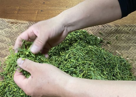 【c-7】釜炒り茶 牧原草人 春 森2号 2026.04.14