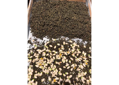 【c-15-1】柑橘の花香る釜炒り茶 八朔の花とするがわせ 2026.05 おひとり様1袋のお買い上げでお願いいたします。