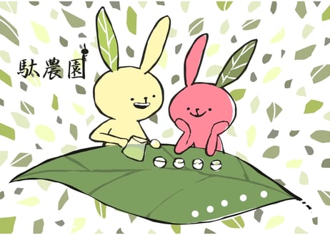 【a-1】 駄農園定番 特蒸し茶 No.10 2026 50g