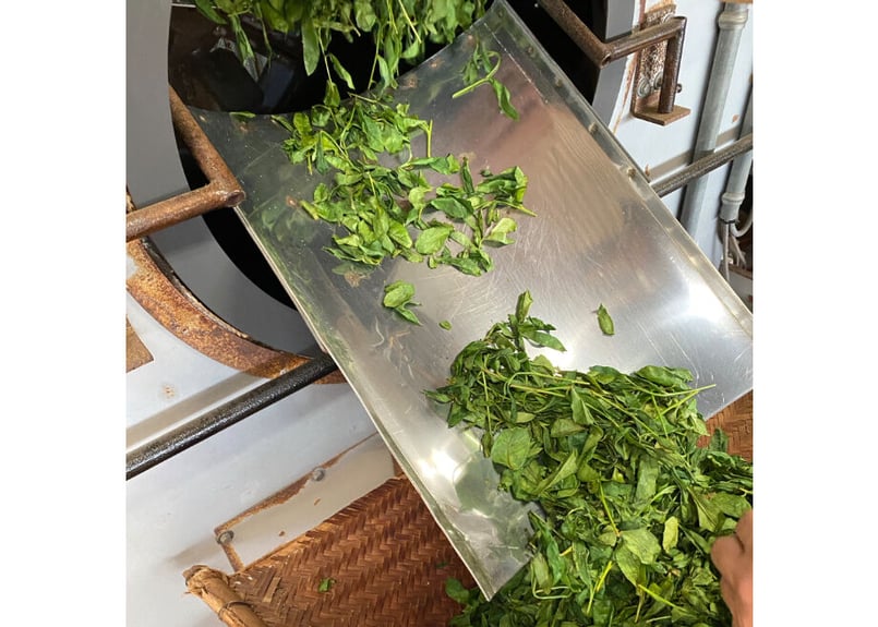 c-29】釜炒り番茶 くらさわ 2025.05.21 30g | 駄農園お茶製造