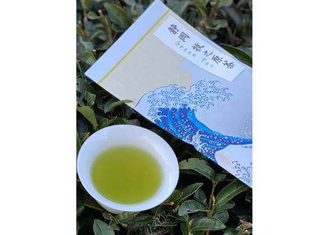 たーちゃん 静岡茶 セット 静岡茶 詰め合わせ 5種セット ほうじ茶 玄米茶 緑茶 抹茶 深蒸し