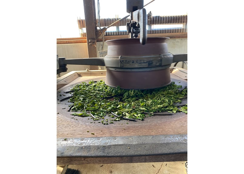 c-20】釜炒り番茶 藤かおり 2025.05.13 30g | 駄農園お茶製造・ 販売