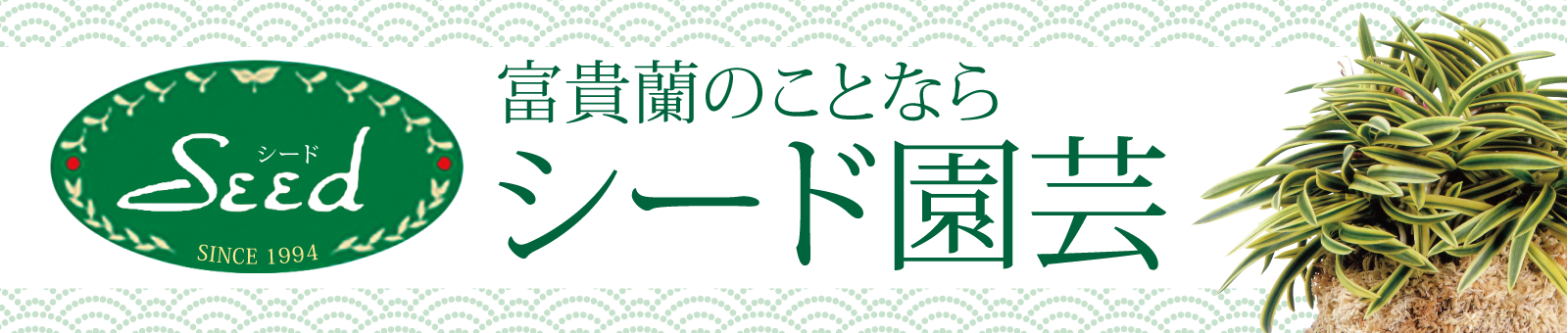 シード園芸