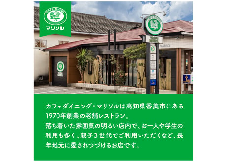 【楽天ふるさと納税ハンバーグ部門1位】送料無料お中元お歳暮贈答用幻の牛土佐あかうしと四万十ポークのハンバーグ5個