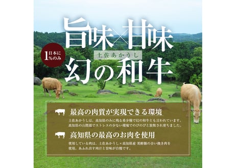 【楽天ふるさと納税ハンバーグ部門1位】送料無料お中元お歳暮贈答用幻の牛土佐あかうしと四万十ポークのハンバーグ5個