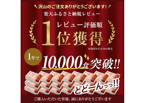 【楽天ふるさと納税ハンバーグ部門1位】送料無料お中元お歳暮贈答用幻の牛土佐あかうしと四万十ポークのハンバーグ10個