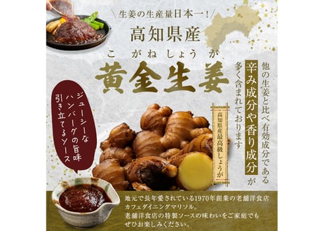 【楽天ふるさと納税ハンバーグ部門1位】送料無料お中元お歳暮贈答用幻の牛土佐あかうしと四万十ポークのハンバーグ8個　自家製黄金生姜ソース付き