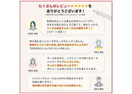 送料無料お中元お歳暮贈答用 食べ比べ幻の牛土佐あかうしと四万十ポークのハンバーグ12個　自家製デミソース・トマトソース・黄金生姜ソース付（各4人前）