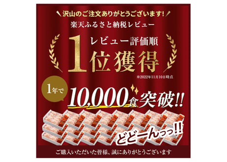 送料無料お中元お歳暮贈答用 食べ比べ幻の牛土佐あかうしと四万十ポークのハンバーグ12個　自家製デミソース・トマトソース・黄金生姜ソース付（各4人前）