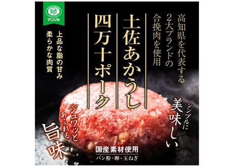 送料無料お中元お歳暮贈答用 食べ比べ幻の牛土佐あかうしと四万十ポークのハンバーグ18個　自家製デミソース・トマトソース・黄金生姜ソース付（各6人前）