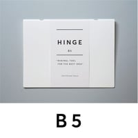 HINGE B5 white