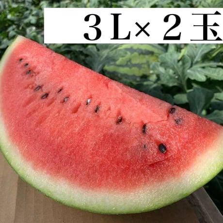 すいかです 絵本】「すいか」【パパ読み聞かせ】 - YouTube