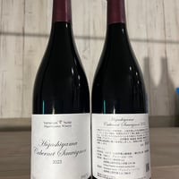 Higashiyama Cabernet　Sauvignon 2023