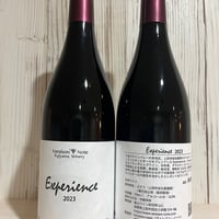 Experience2023