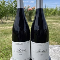 Nebbiolo 2019