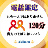 ❇【電話鑑定 120分】四柱推命 ·  六爻占術 · 鑑定歴32年 · 時間内は件数、質問の制限なし