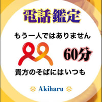 ❇【電話鑑定 60分】四柱推命 ·  六爻占術 · 鑑定歴32年 · 時間内は件数、質問の制限なし