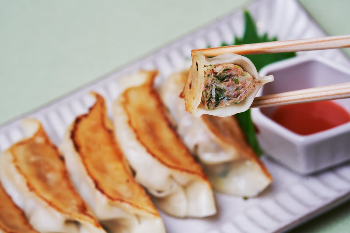 本鰹だし餃子40個／Katsuo Dashi Gyoza (White)40pcs | nag