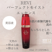 スプレーガンセット（延髄30本付き） | REVI SHOP