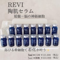 REVI スプレーガン ＋陶肌セラム　3本付き ルヴィ業務用スプレーガンセット（ルヴィ陶肌セラム（ヒト神経