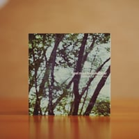 【CD】野間友貴＋トリタニタツシ「三百年セッション」