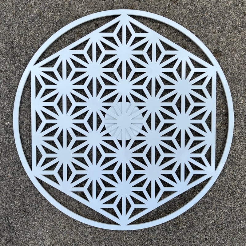 asa of life6,hexa white pearl | yamano-u