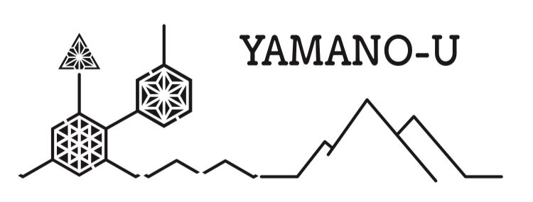 新品 山のU アサノハゴレン YAMANO-U メタルコヨーテ 山のU