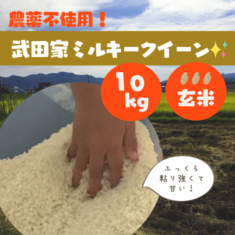 令和5年産・新米【無農薬！送料込！】武田家ミルキークイーン10kg