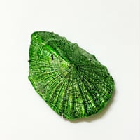 貝殻蒸着メッキブローチ