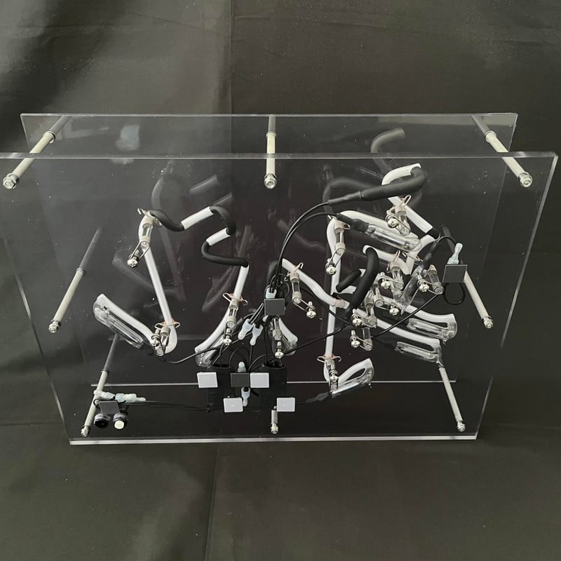 期間限定・特典付】天羽しろっぷの世界で一番美しい〝身バレ