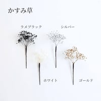 【オプション】かすみ草