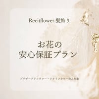 【オプション】 お花の安心保証プラン