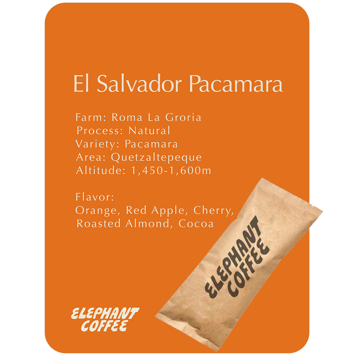 エルサルバドル ロマ・ラ・グロリア農園 - Natural [ ライトロースト