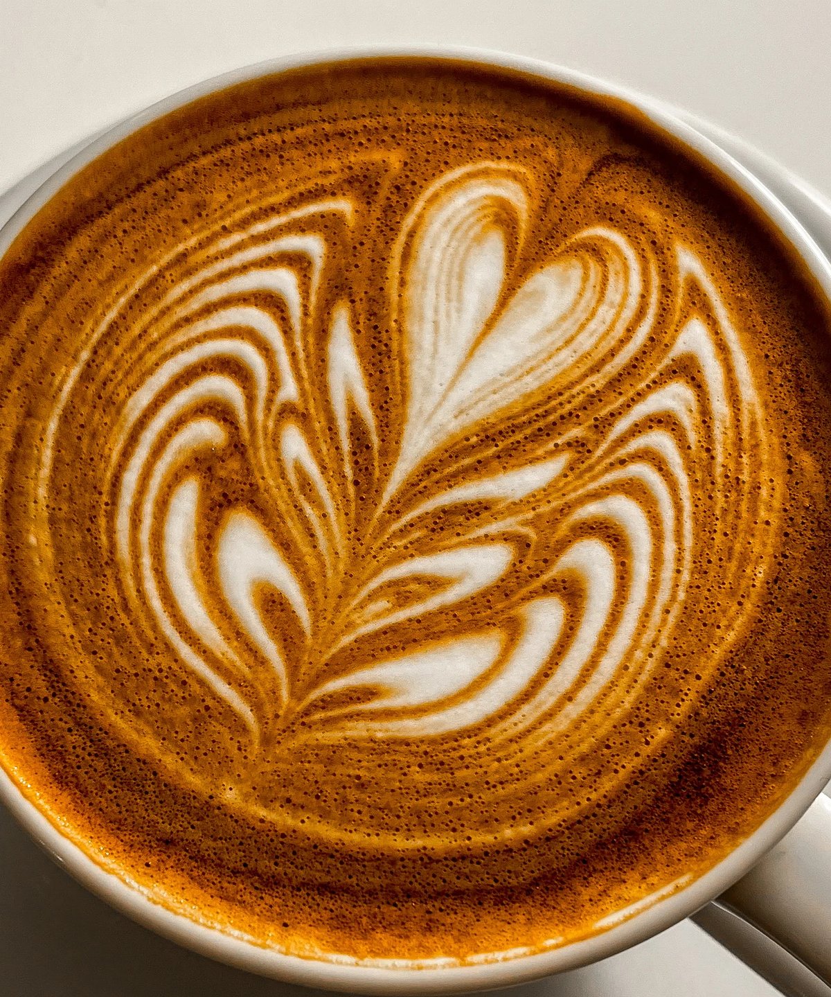 ELEPHANT BLEND ｜Dark Roast 1kg | ELEPHANT COFFEE