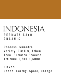 インドネシア ペルマタガヨ農協 /オーガニック&フェアトレード -Sumatra Process (中深煎り)