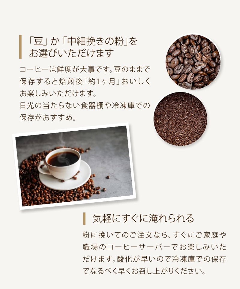 エルサルバドル ロマ・ラ・グロリア農園 - Natural [ ライトロースト