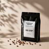 Big Step｜Medium Roast 1kg