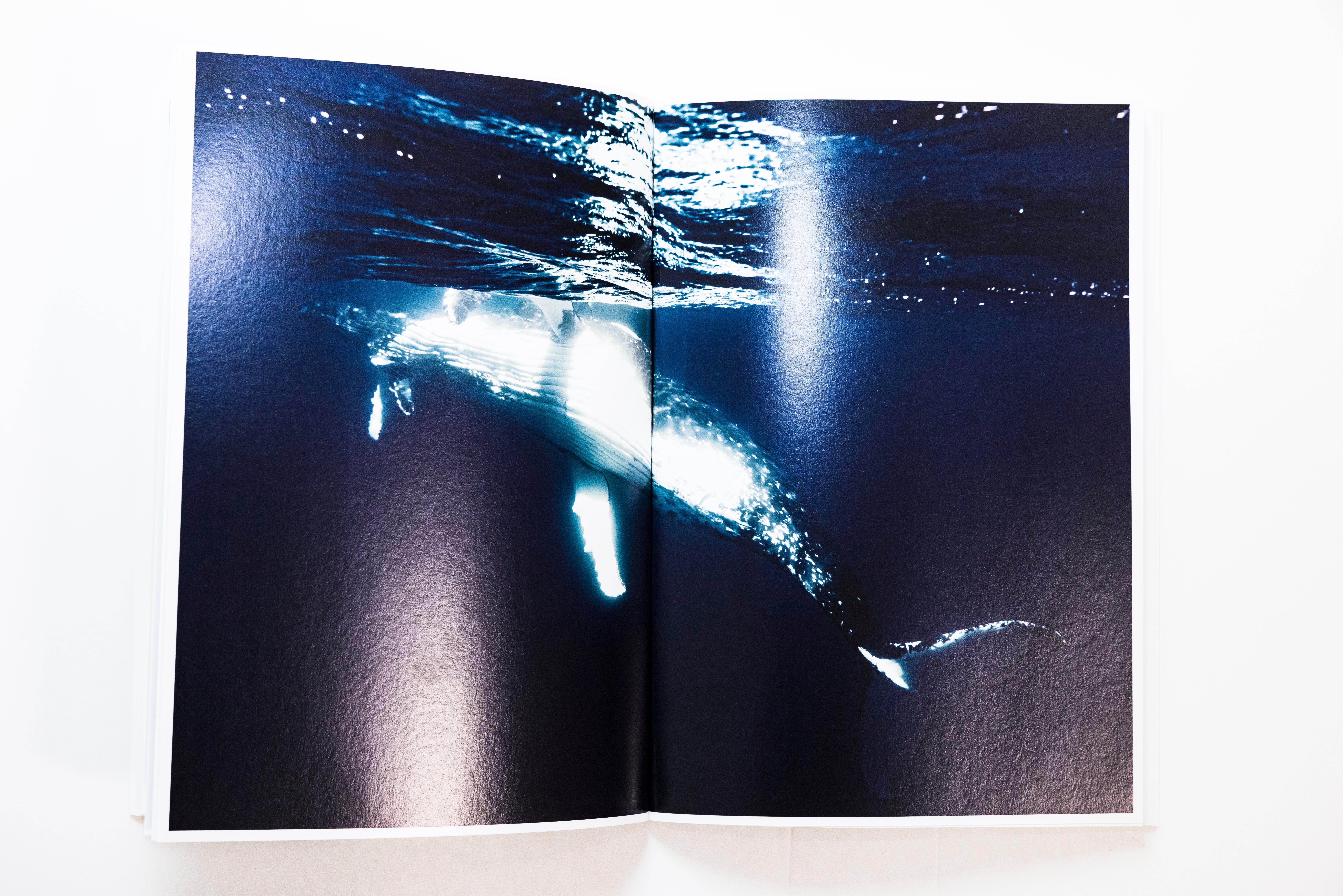 フォトブック2025 | YUKI UEDA PHOTO