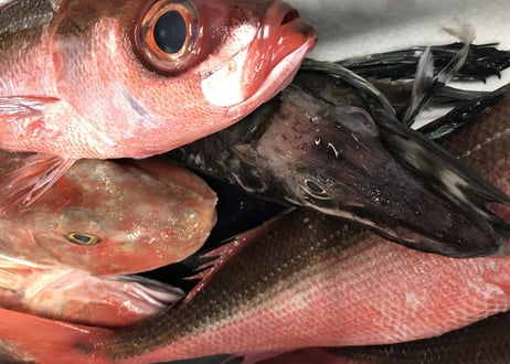 【とおるの刺盛り(松)】店主も食べたい高級感！その日限りの特別な刺盛り