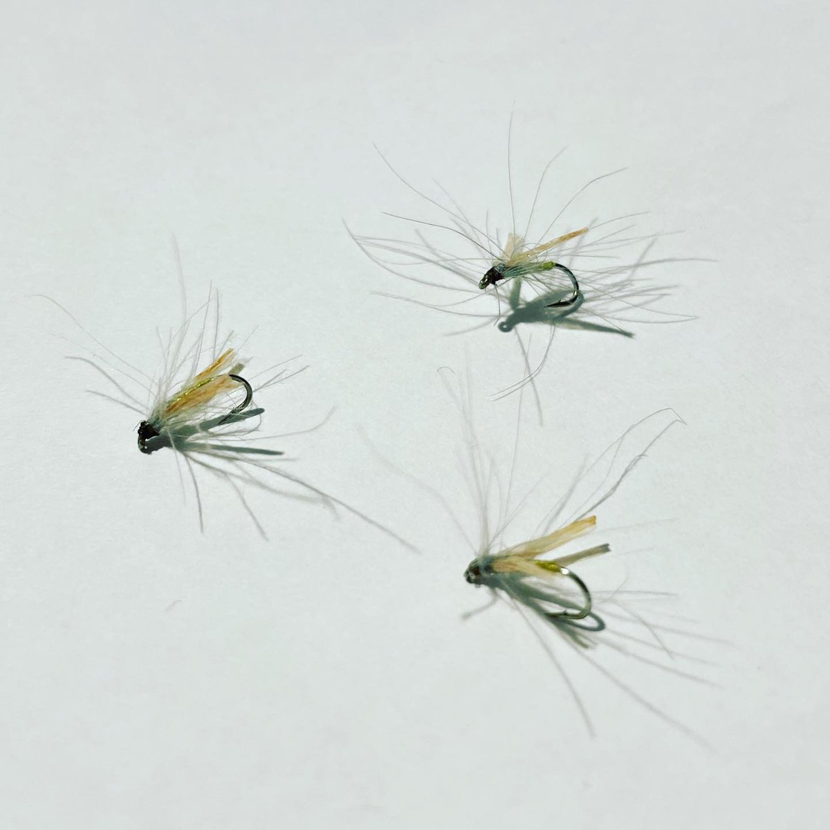 ガガンボ・スペント✕3本セット | UNDERWATER ONLINE