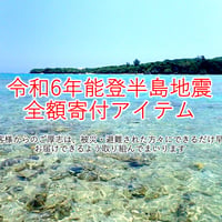 【令和6年能登半島地震 全額寄付アイテム】南の島フラット用フライ✕5本セット