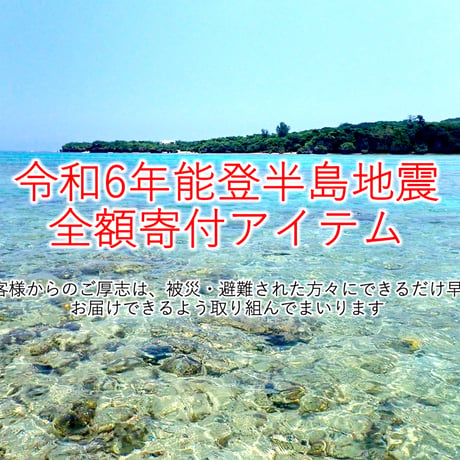 【令和6年能登半島地震 全額寄付アイテム】南の島フラット用フライ✕5本セット