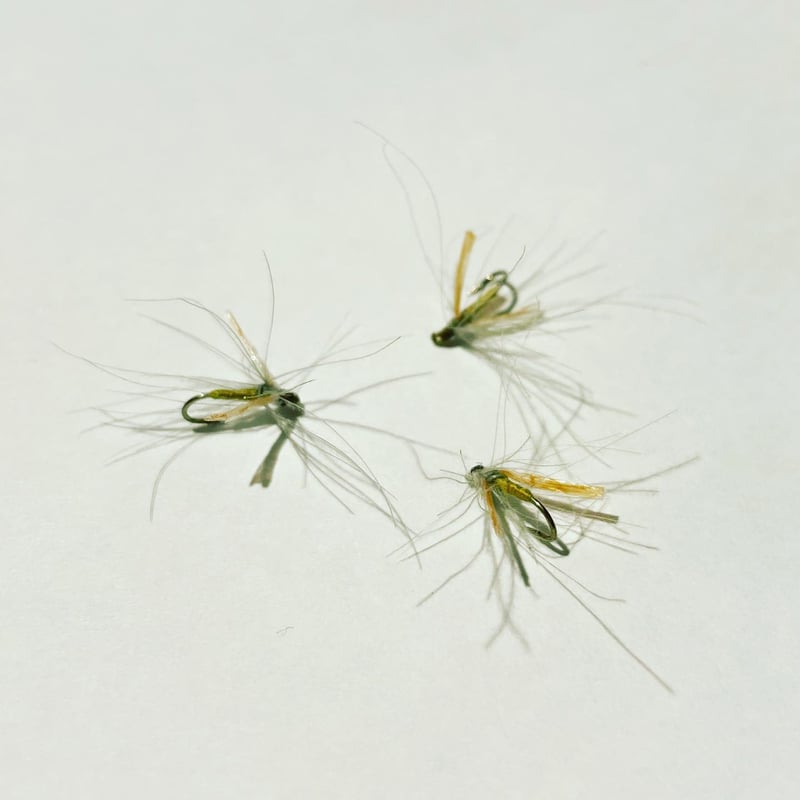 ががんぼ ガガンボ（39種類） | Ottimo, Inc.