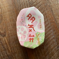 JR多気駅のりかえ弁当 多気弁