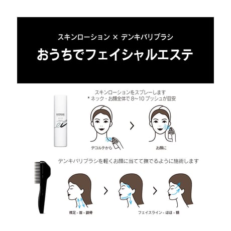 DENKI BARI BRUSH（TM） デンキバリブラシ（R）