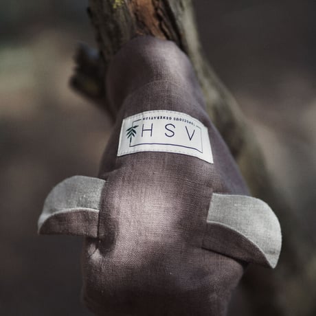 ASH generation   bonet(bear×soil)