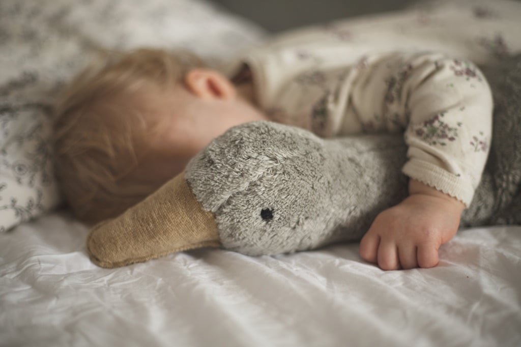 SENGER Naturwelt Cuddly animal Goose grey ve
