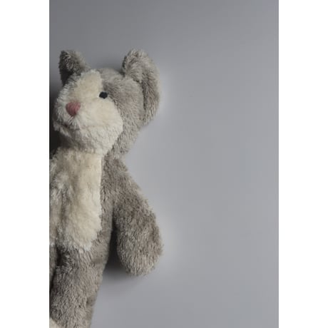 SENGER Naturwelt  Animal Baby Cat